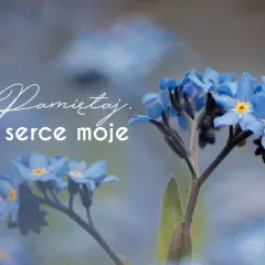 Niezapominajki, symbol pamięci. "Pamiętaj, serce moje" - słowa, których nie zapomnisz, bo nie możesz.