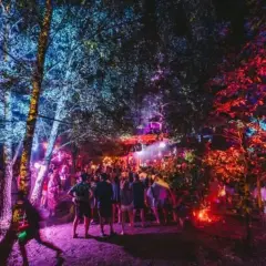 Nocny las rozświetlony kolorowymi światłami, tłum ludzi bawi się na Garbicz Festival.