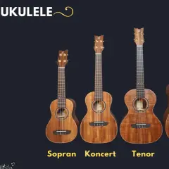 Cztery rodzaje ukulele: sopran, koncertowe, tenor i baryton, prezentowane od najmniejszego do największego.