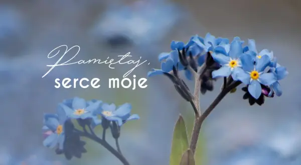 Niezapominajki, symbol pamięci. "Pamiętaj, serce moje" - słowa, których nie zapomnisz, bo nie możesz.