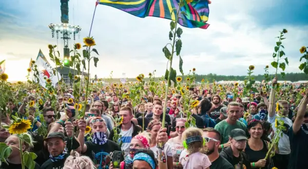 Tłum ludzi na festiwalu Pol'and'Rock trzymający słoneczniki i flagi, z widoczną sceną w tle.