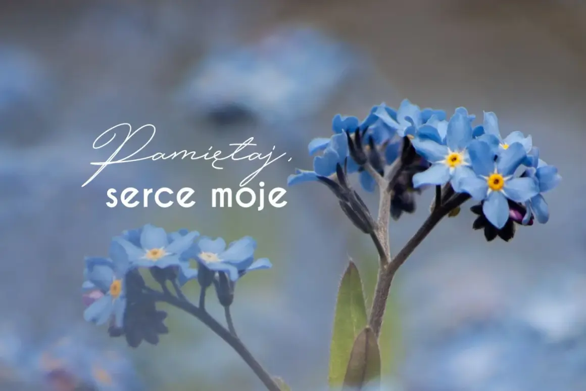 Niezapominajki, symbol pamięci. "Pamiętaj, serce moje" - słowa, których nie zapomnisz, bo nie możesz.